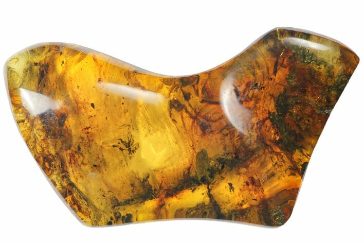 Polished Chiapas Amber ( g) - Mexico #114848